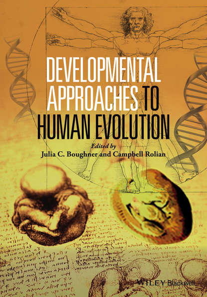 Developmental Approaches to Human Evolution - Группа авторов