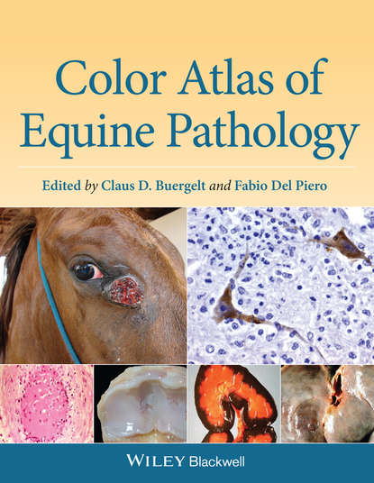 Color Atlas of Equine Pathology - Группа авторов