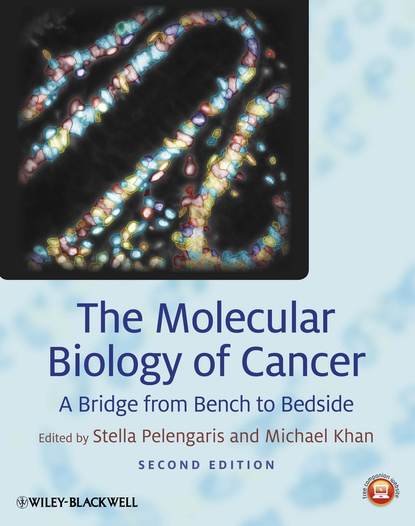 The Molecular Biology of Cancer - Группа авторов