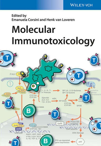 Molecular Immunotoxicology - Группа авторов