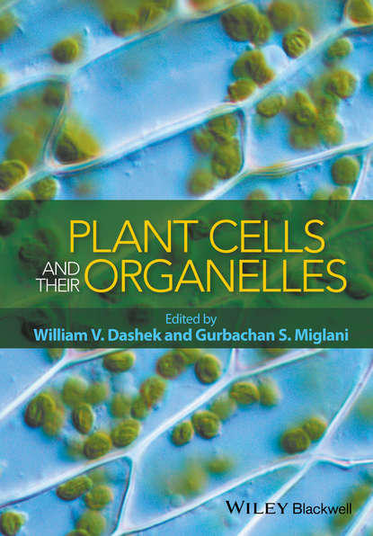 Plant Cells and their Organelles - Группа авторов