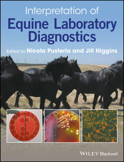 Interpretation of Equine Laboratory Diagnostics - Группа авторов