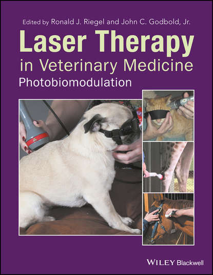 Laser Therapy in Veterinary Medicine - Группа авторов