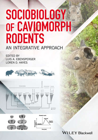 Sociobiology of Caviomorph Rodents - Группа авторов