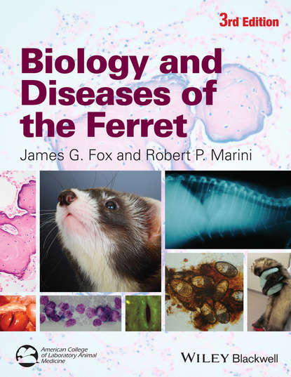 Biology and Diseases of the Ferret - Группа авторов