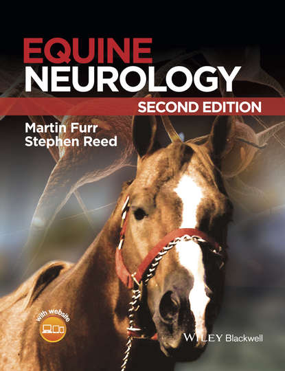 Equine Neurology - Группа авторов