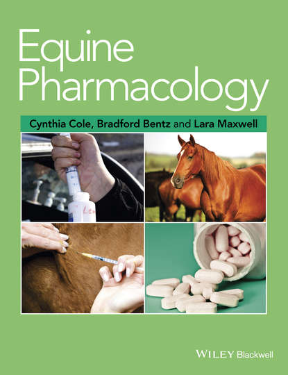 Equine Pharmacology - Группа авторов