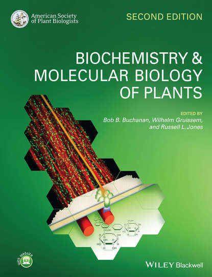 Biochemistry and Molecular Biology of Plants - Группа авторов