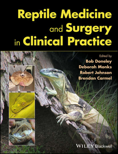 Reptile Medicine and Surgery in Clinical Practice - Группа авторов