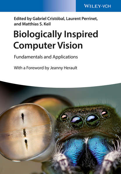 Biologically Inspired Computer Vision - Группа авторов