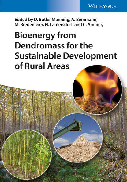 Bioenergy from Dendromass for the Sustainable Development of Rural Areas - Группа авторов