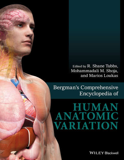 Bergman's Comprehensive Encyclopedia of Human Anatomic Variation - Группа авторов