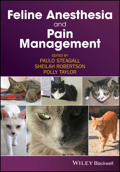 Feline Anesthesia and Pain Management - Группа авторов