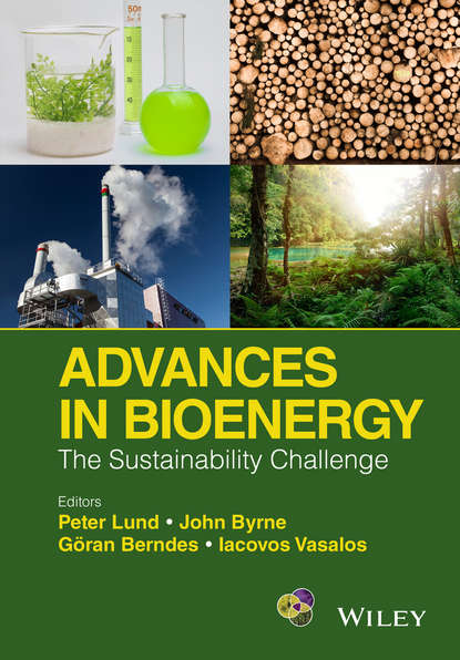 Advances in Bioenergy - Группа авторов