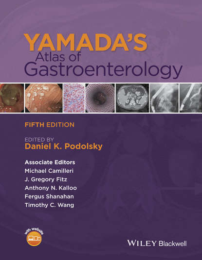 Yamada's Atlas of Gastroenterology — Группа авторов