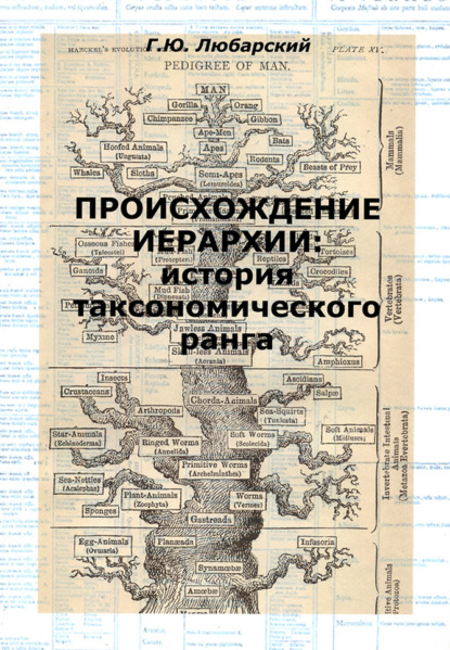 Происхождение иерархии: история таксономического ранга - Г. Ю. Любарский