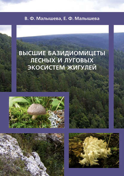 Высшие базидиомицеты лесных и луговых экосистем Жигулей - В. Ф. Малышева