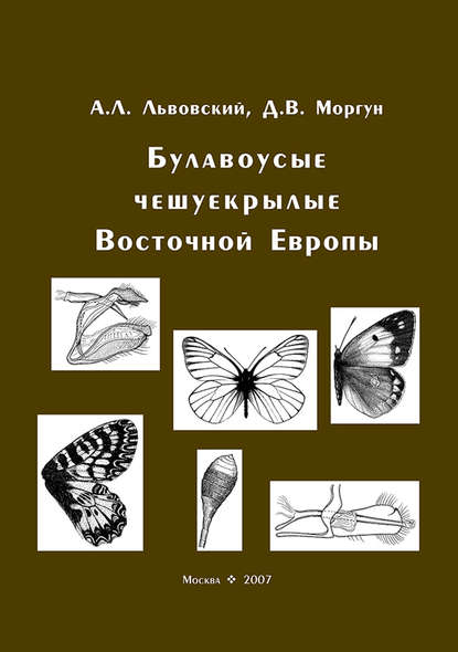 Булавоусые чешуекрылые Восточной Европы - Александр Львовский