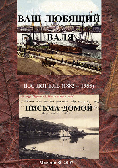 Ваш любящий Валя. В. А. Догель (1882–1955). Письма домой - Группа авторов