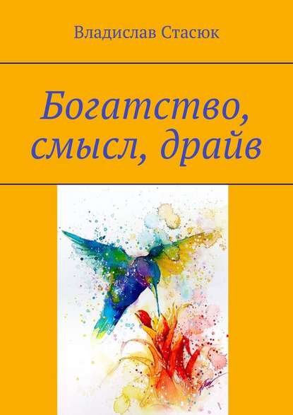 Богатство, смысл, драйв — Владислав Юрьевичь Стасюк