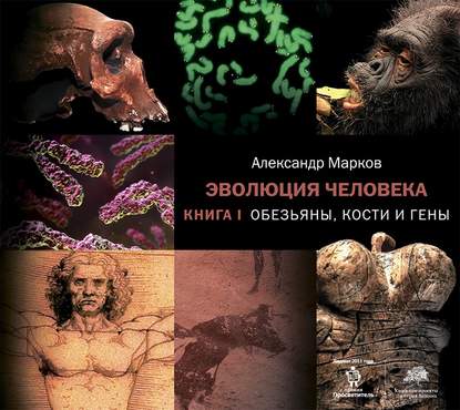 Обезьяны, кости и гены - Александр Марков