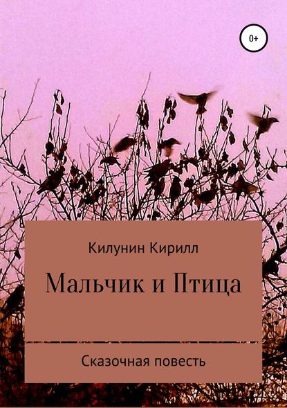 Мальчик и Птица — Кирилл Борисович Килунин