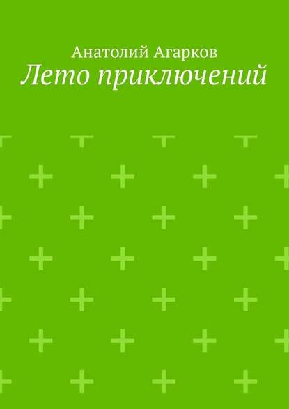 Лето приключений. Настоящий друг не позволит тебе совершать глупости в одиночку - Анатолий Агарков