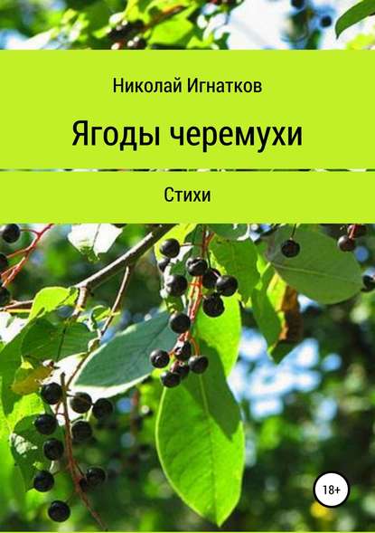 Ягоды черемухи. Книга стихотворений - Николай Викторович Игнатков