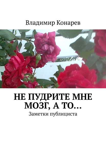 Не пудрите мне мозг, а то… Заметки публициста - Владимир Иванович Конарев