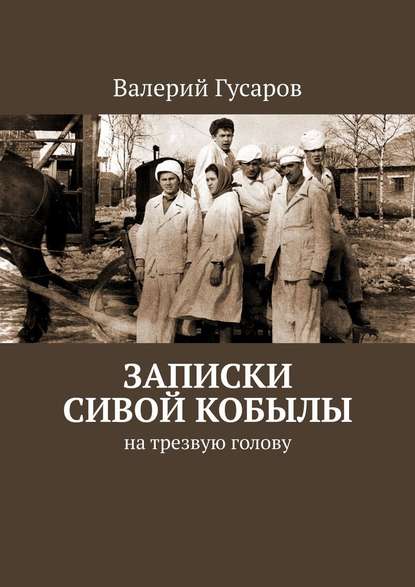 Записки сивой кобылы. На трезвую голову - Валерий Гусаров