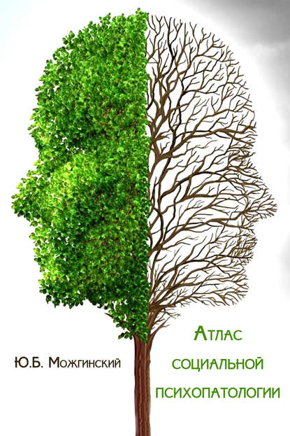 Атлас социальной психопатологии — Юрий Можгинский