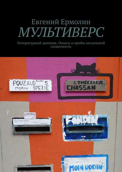 Мультиверс. Литературный дневник. Опыты и пробы актуальной словесности - Евгений Ермолин