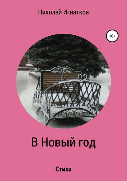 В Новый год. Книга стихотворений - Николай Викторович Игнатков