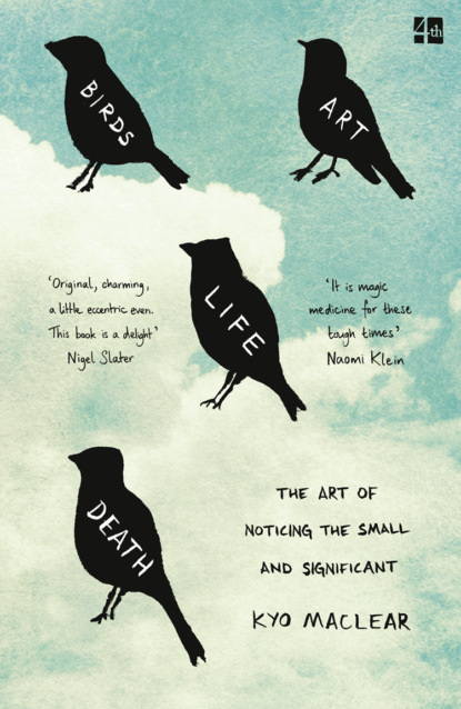 Birds Art Life Death: The Art of Noticing the Small and Significant — Кио Маклир