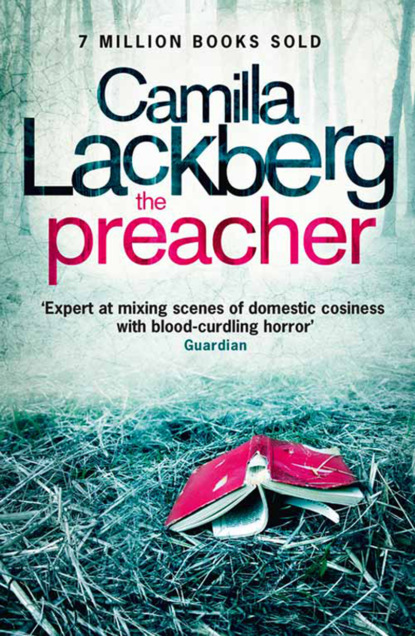 Camilla Lackberg Crime Thrillers 1-3: The Ice Princess, The Preacher, The Stonecutter — Камилла Лэкберг