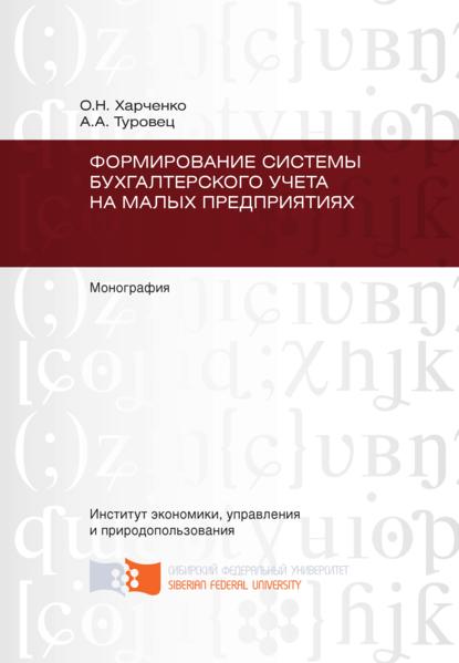 Формирование системы бухгалтерского учета на малых предприятиях - Анна Александровна Туровец