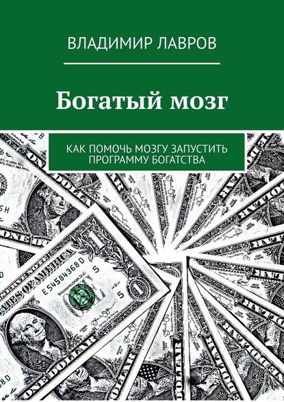 Богатый мозг. Как помочь мозгу запустить программу богатства - Владимир Сергеевич Лавров