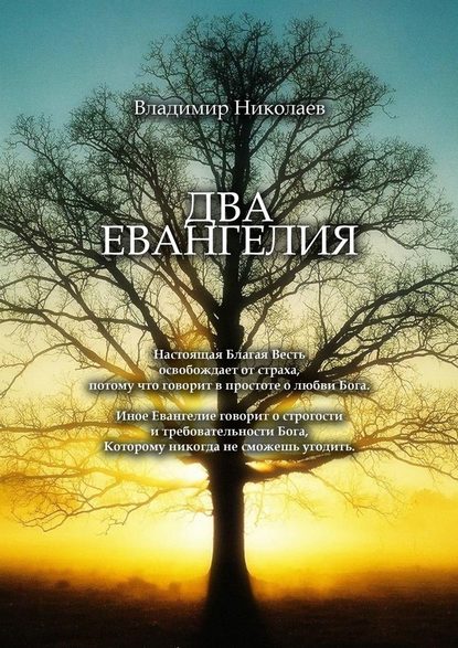 Два Евангелия. Современные и вечные проблемы христианства, отношений человека и Бога — Владимир Николаев