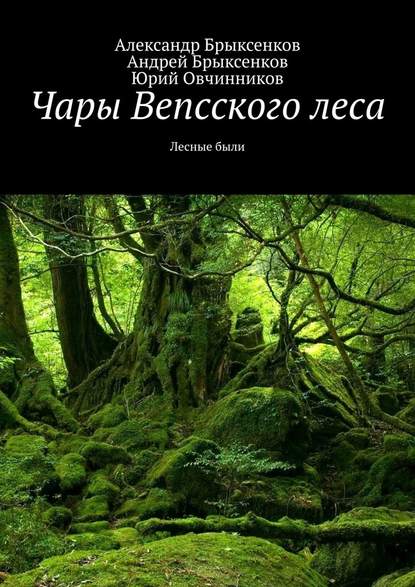 Чары Вепсского леса. Лесные были - Александр Брыксенков