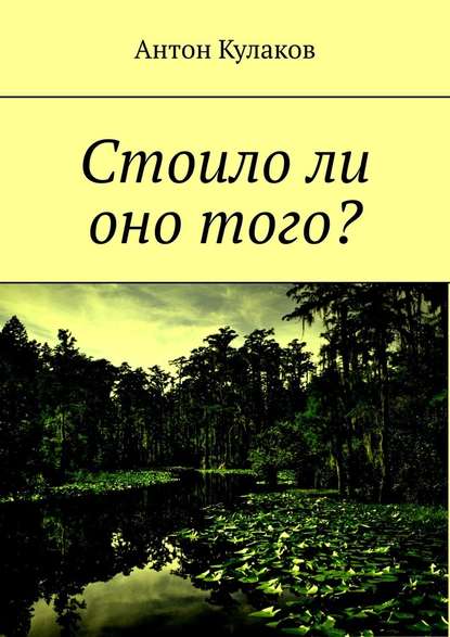 Стоило ли оно того? — Антон Кулаков