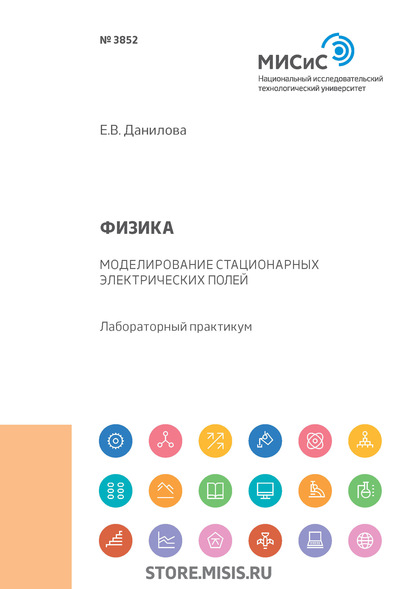 Физика. Моделирование стационарных электрических полей - Е. В. Данилова