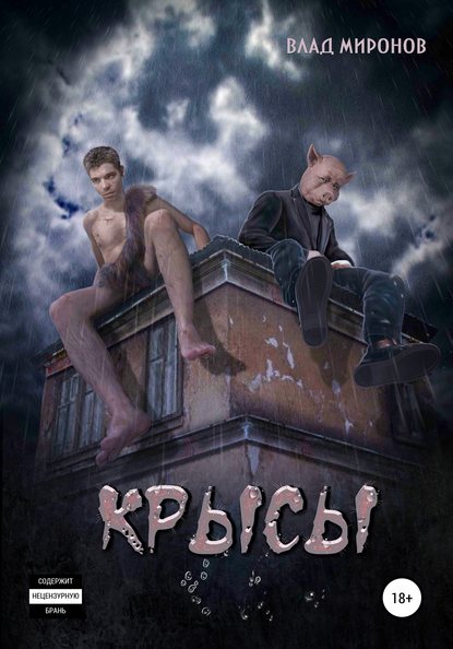 Крысы - Влад Миронов