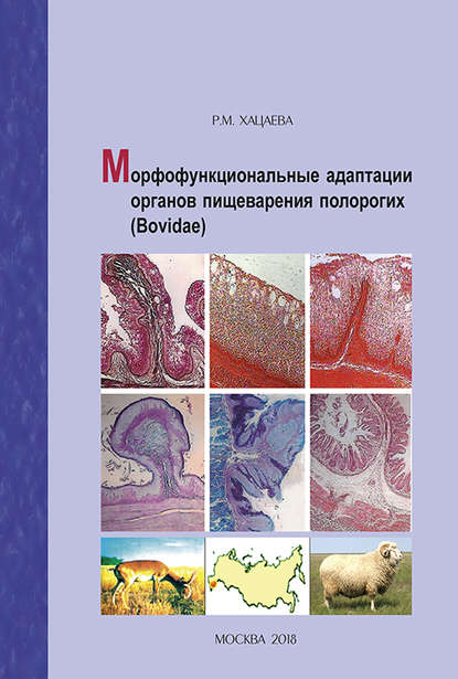 Морфофункциональные адаптации органов пищеварения полорогих (Bovidae) - Р. М. Хацаева