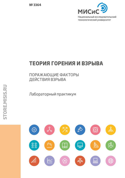 Теория горения и взрыва. Поражающие факторы действия взрыва. Лабораторный практикум - Б. В. Эквист