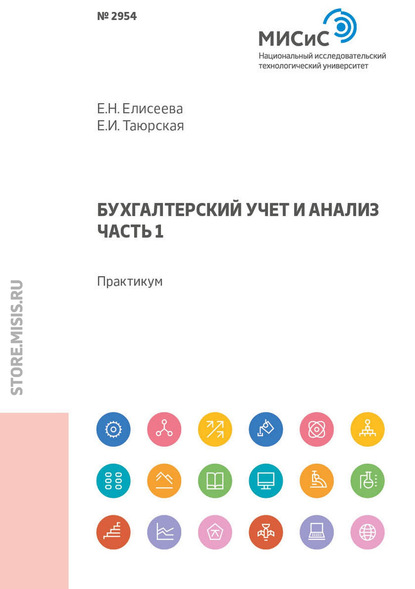 Бухгалтерский учет и анализ. Часть 1. Практикум - Евгения Николаевна Елисеева