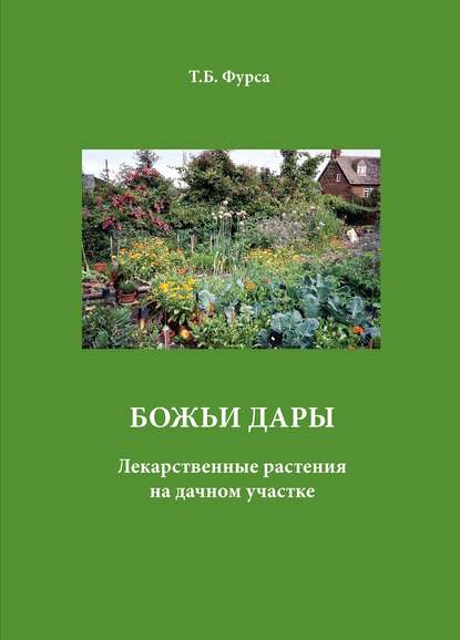 Божьи дары. Лекарственные растения на дачном участке - Татьяна Фурса