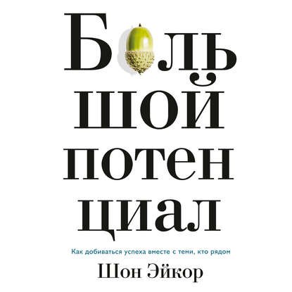 Большой потенциал. Как добиваться успеха вместе с теми, кто рядом - Шон Эйкор