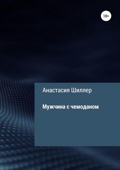 Мужчина с чемоданом — Анастасия Шиллер