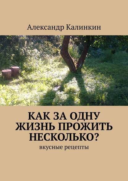 Как за одну жизнь прожить несколько? Вкусные рецепты - Александр Николаевич Калинкин