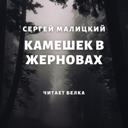 Камешек в жерновах — Сергей Малицкий